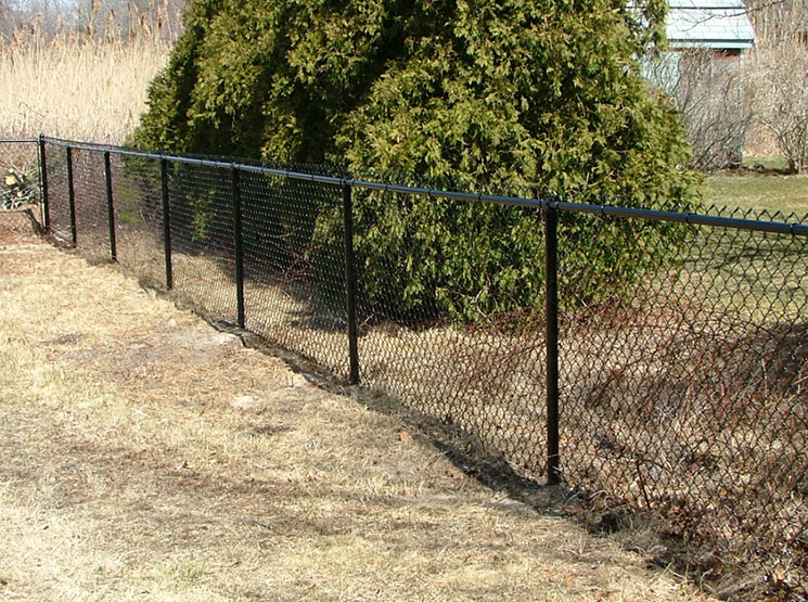 Residential chain link fence