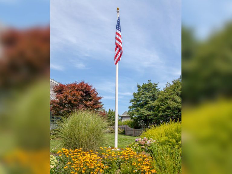 A United States flag on a tall white pole stands in the center of a garden with yellow and green plants, under a blue sky with thin clouds. Trees and a house are visible in the background.