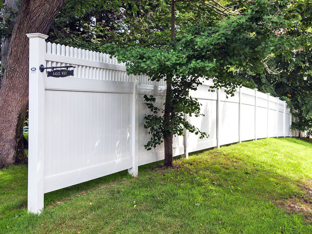 A tall white privacy fence with trees surrounding it